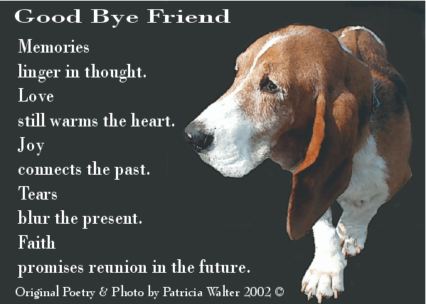goodbyefriend.gif